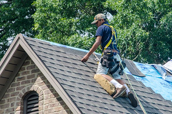 Roof Replacement Expert